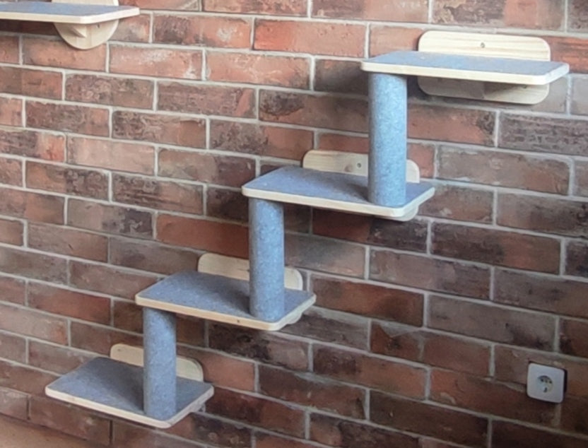 Shelf for wall ladders