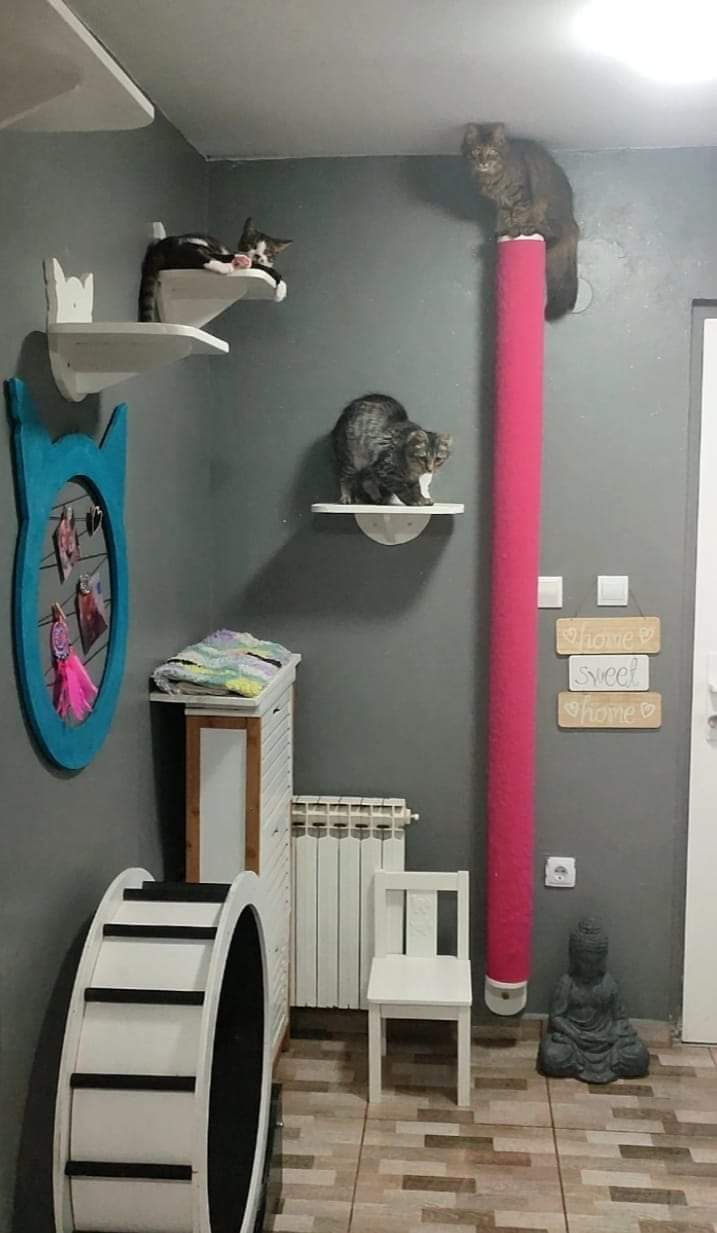 Wall scratching post