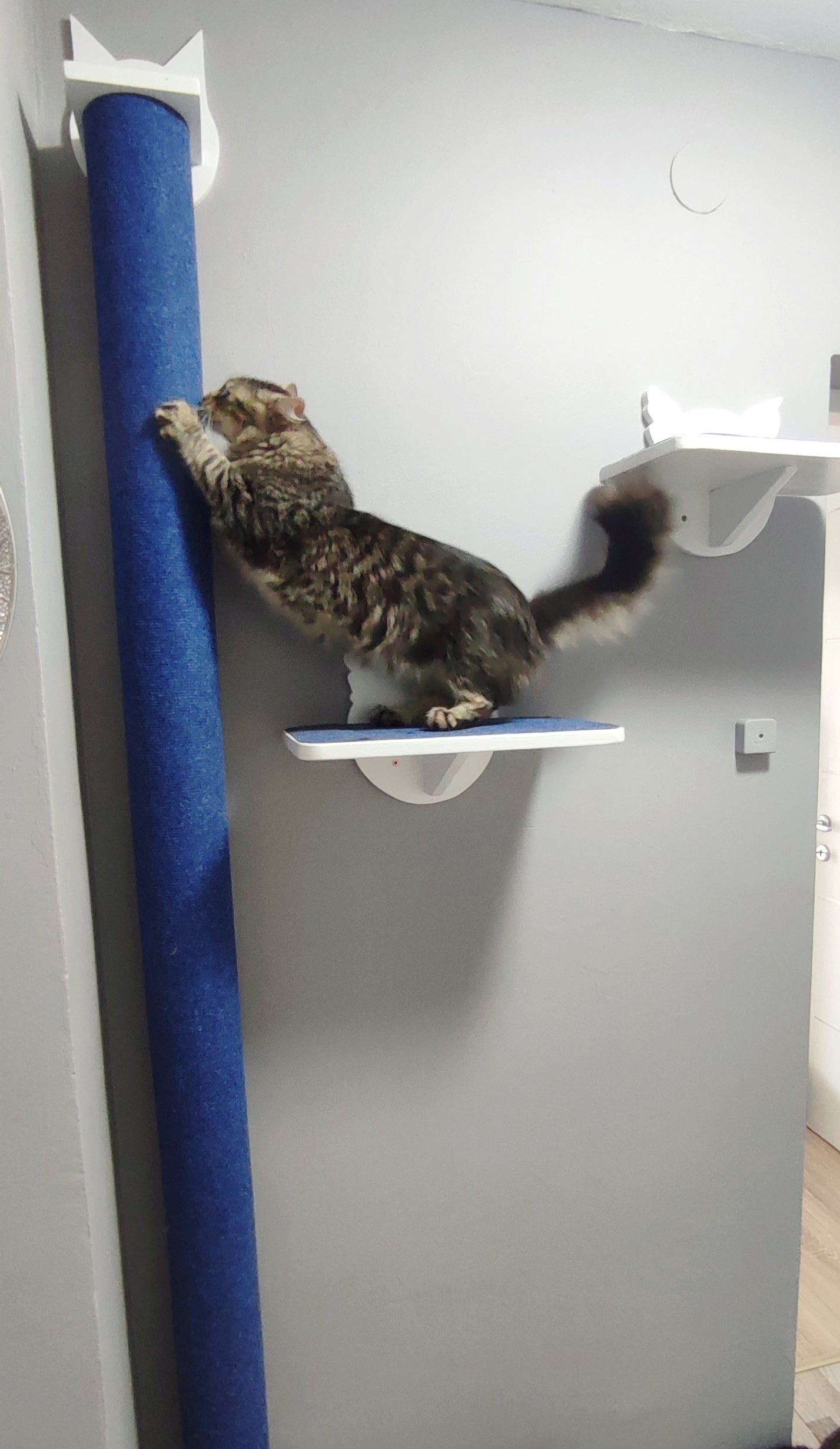 Wall scratching post