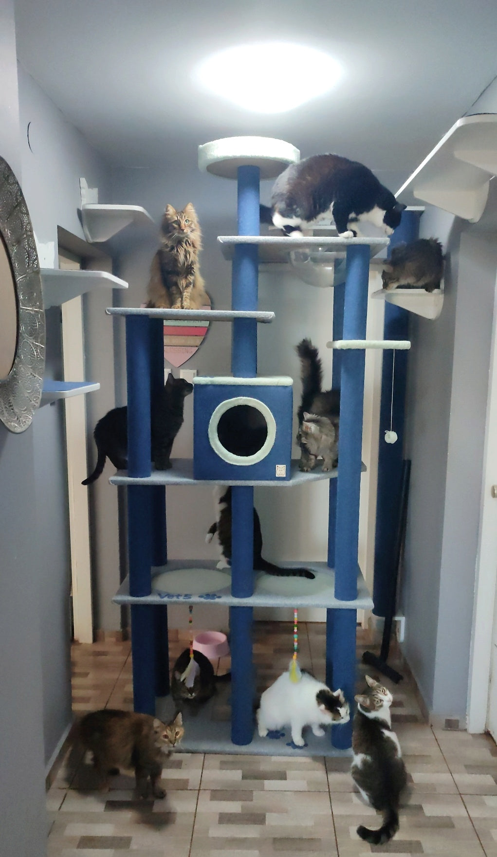 Empire Cat Building