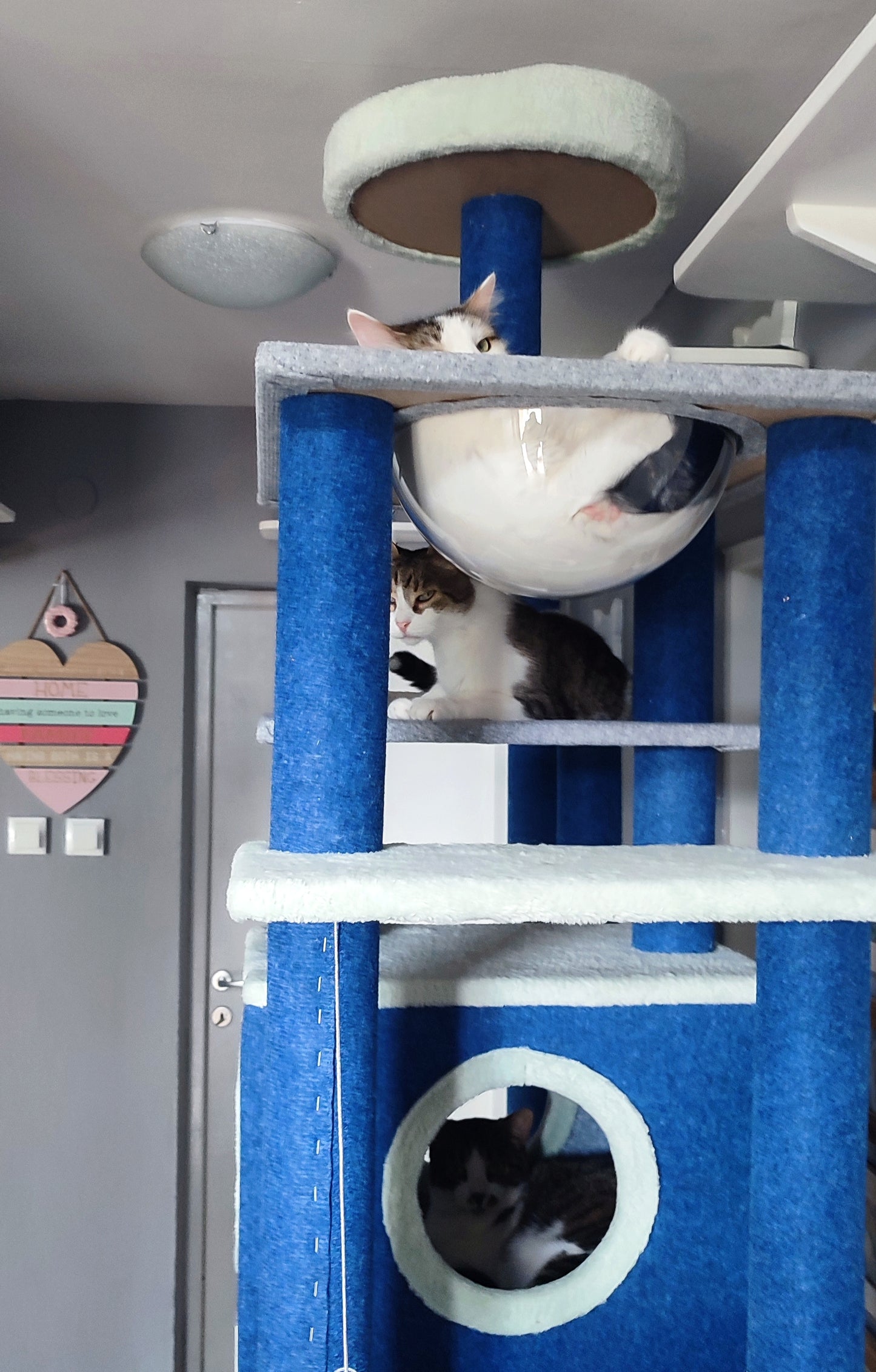 Empire Cat Building