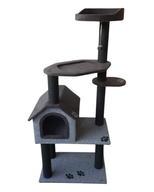 Toby Brown scratcher