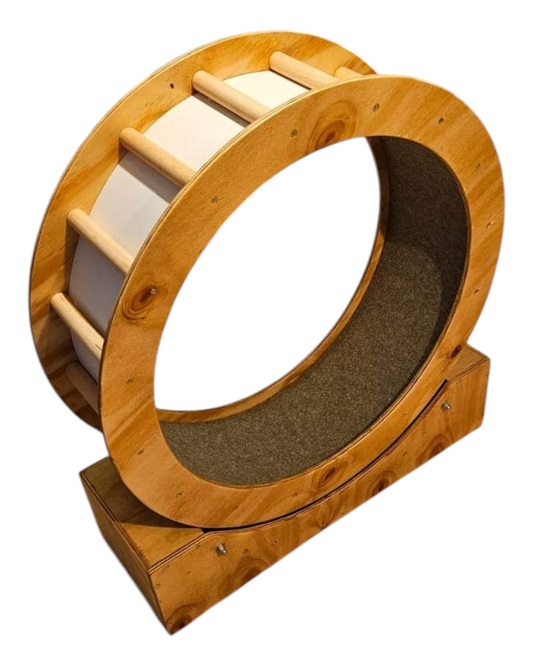 Cat wheel