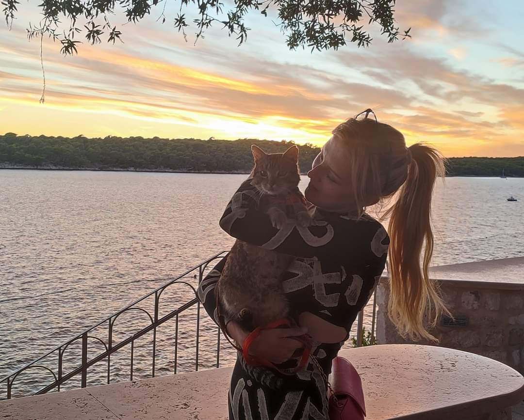 How I socialized Rambo the cat and gained his trust.