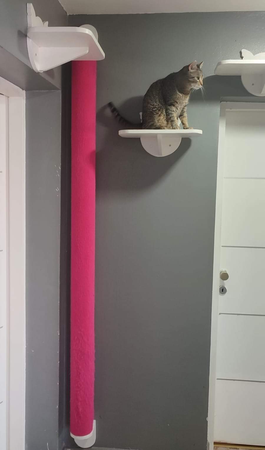 Wall scratching post