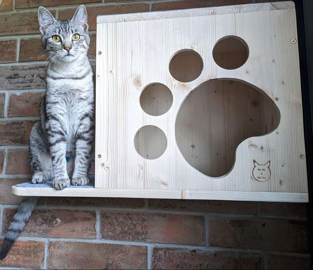 WALL SHELVES