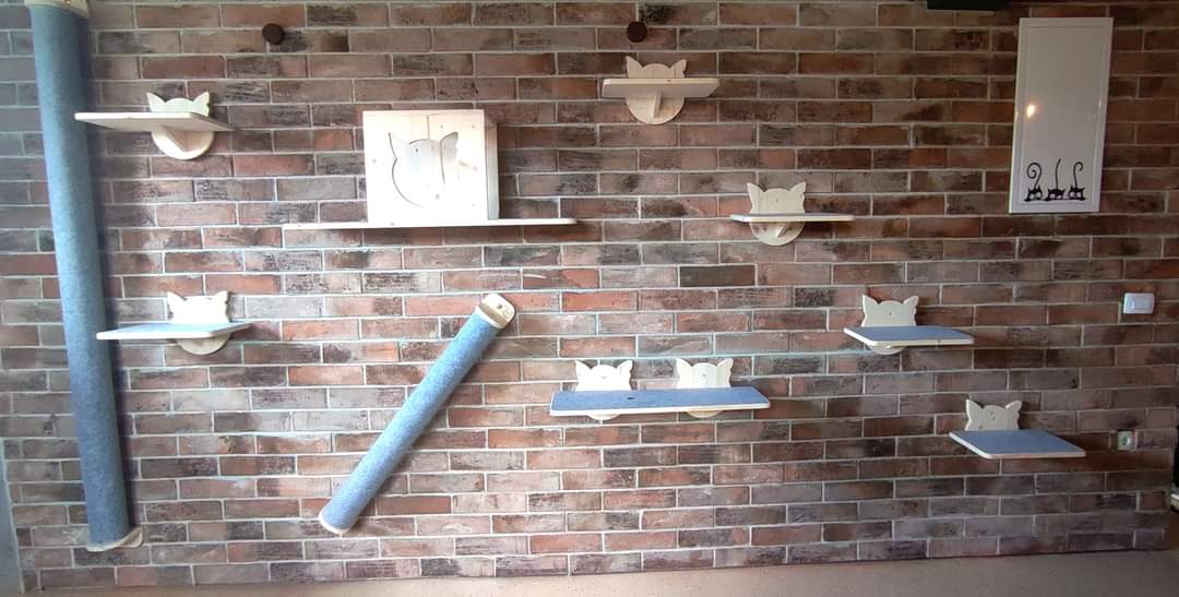 Wall scratching post