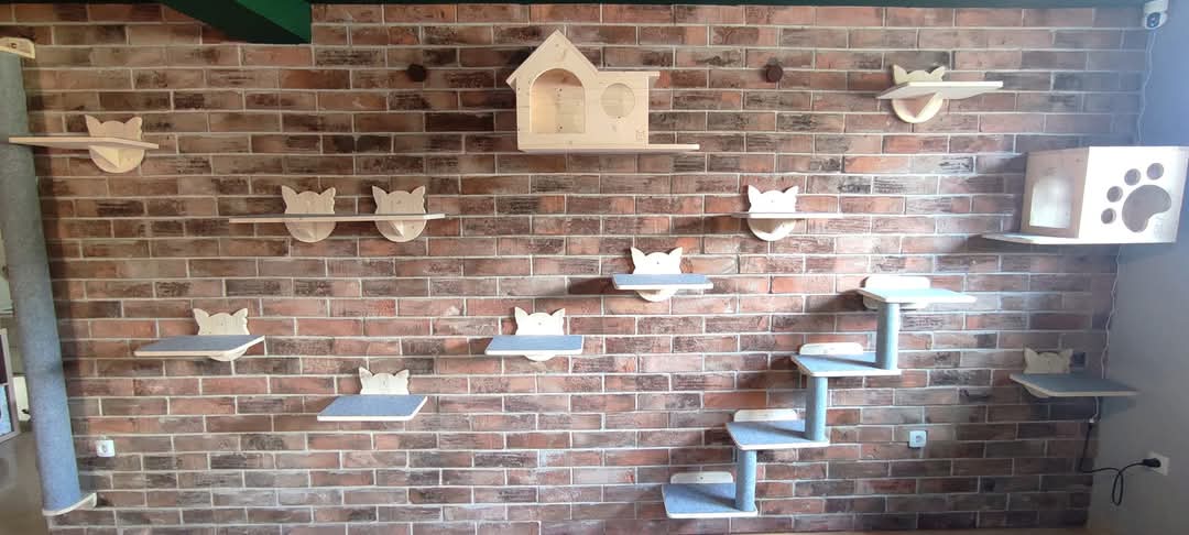 Cat Hotel KAT'S PLACE