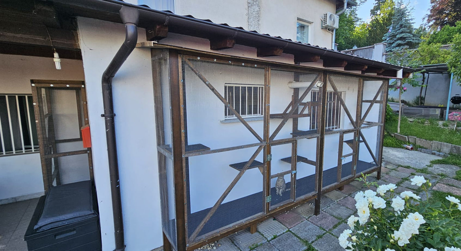 Catio & Outdoor