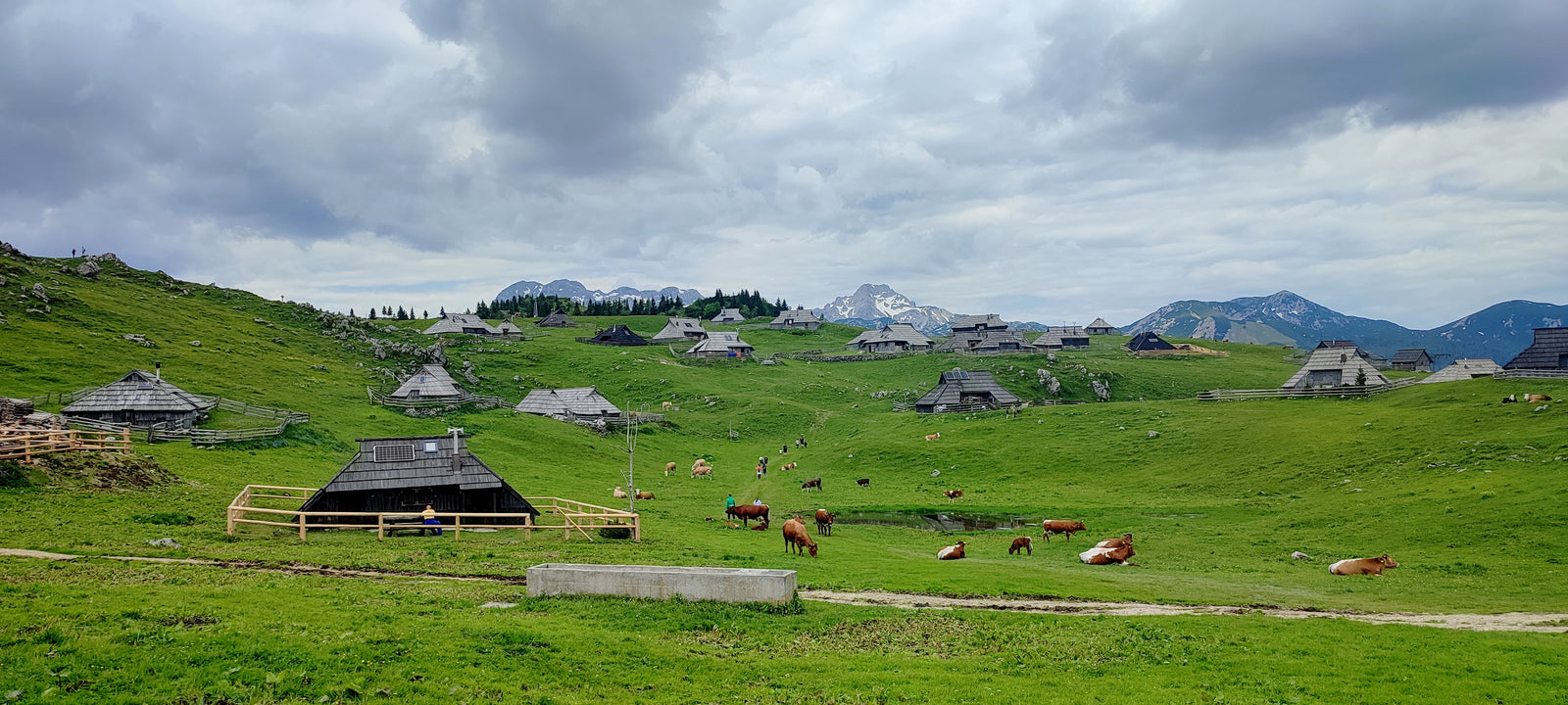 Velika Planina i Kamniške Alpe