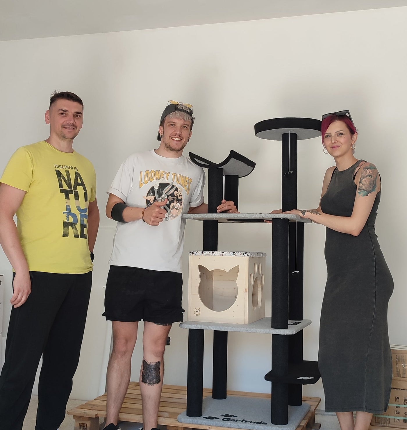 MicMao custom projekt