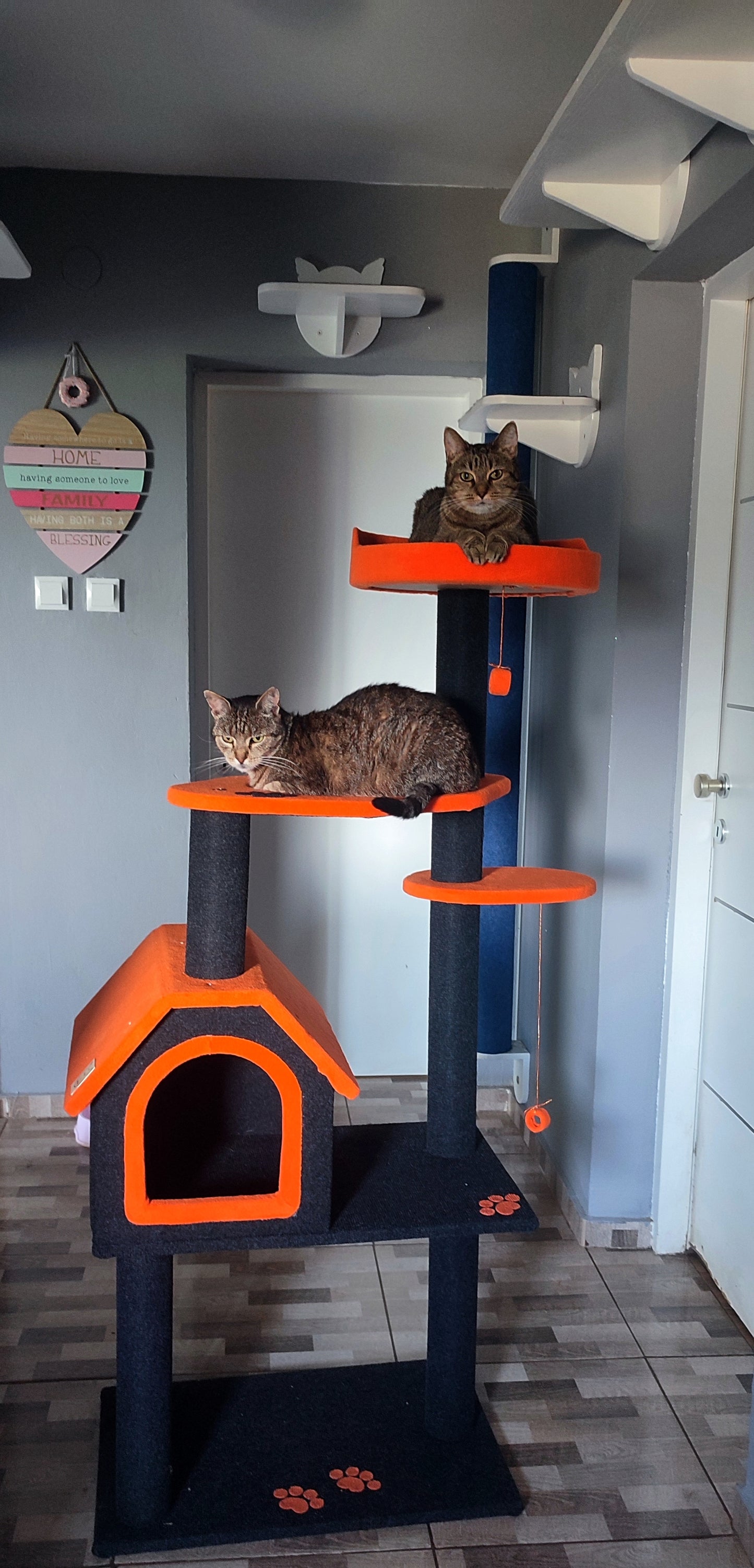 Grebalica Toby Orange