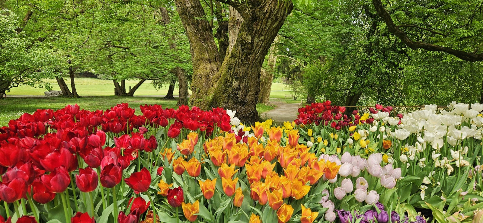 Arboretum Volčji Potok
