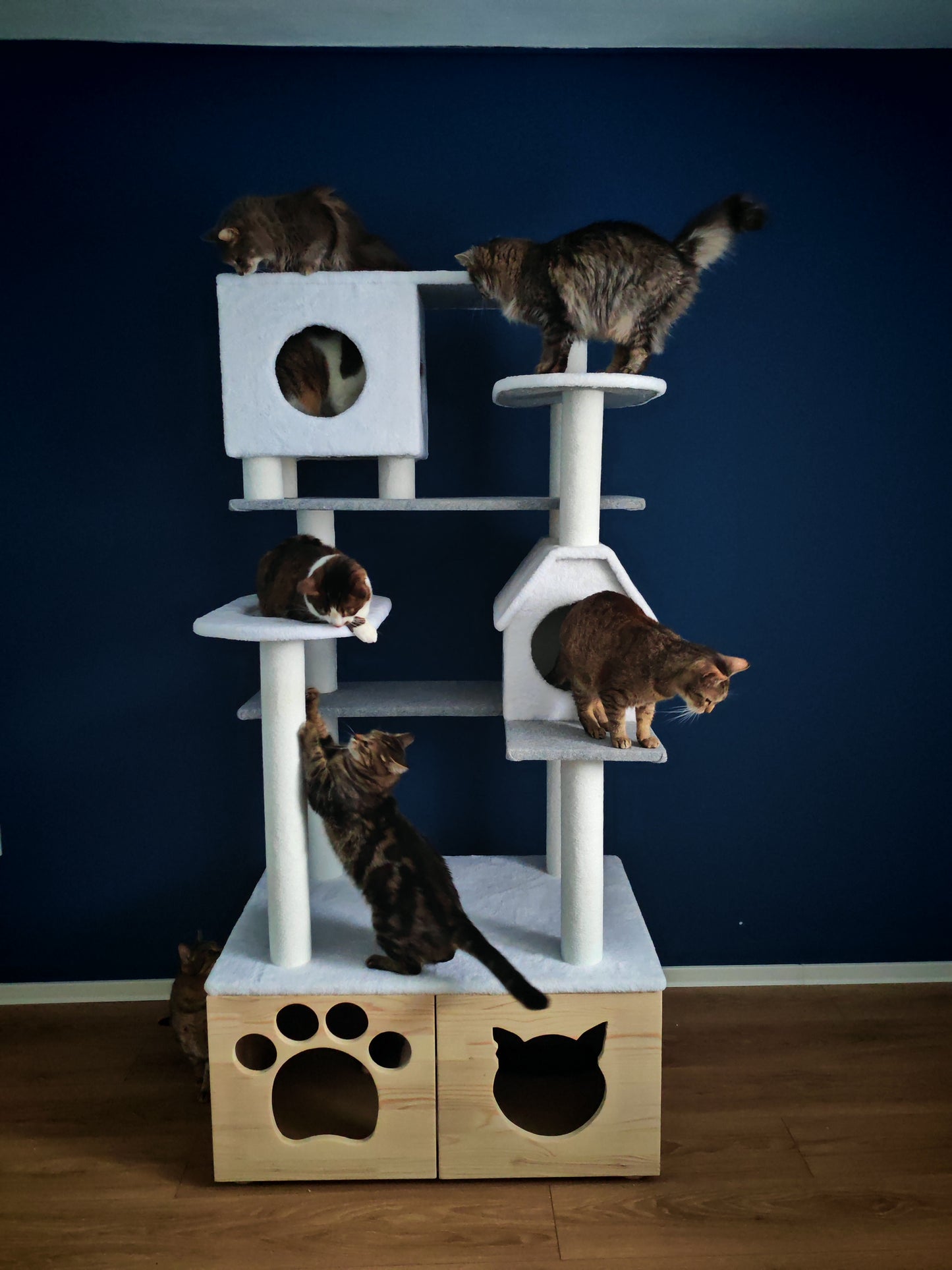 Grebalica Snowcat Special